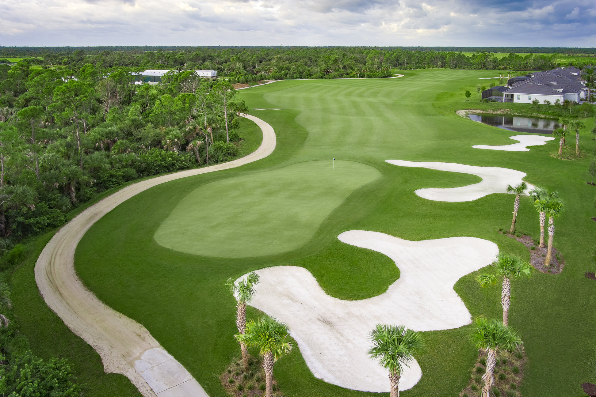 Image of golf ball on tee on grass.